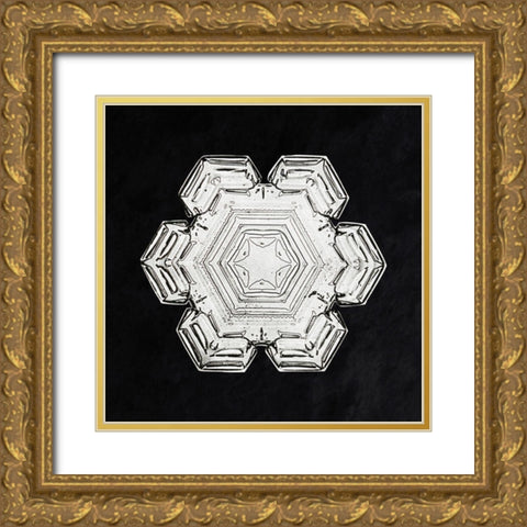 Snowflake 10 Gold Ornate Wood Framed Art Print with Double Matting by Bentley, Wilson