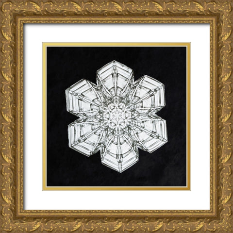 Snowflake 10A Gold Ornate Wood Framed Art Print with Double Matting by Bentley, Wilson