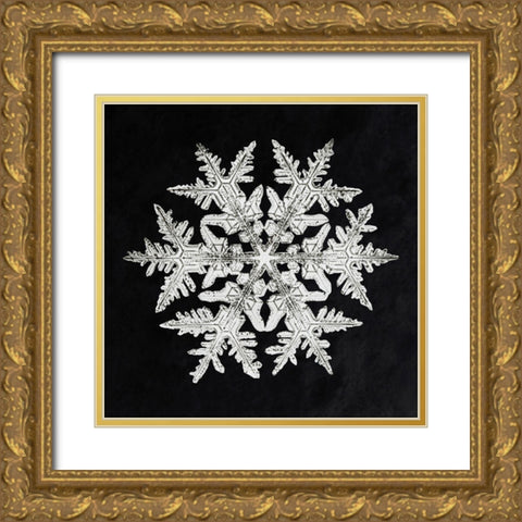 Snowflake 920 Gold Ornate Wood Framed Art Print with Double Matting by Bentley, Wilson