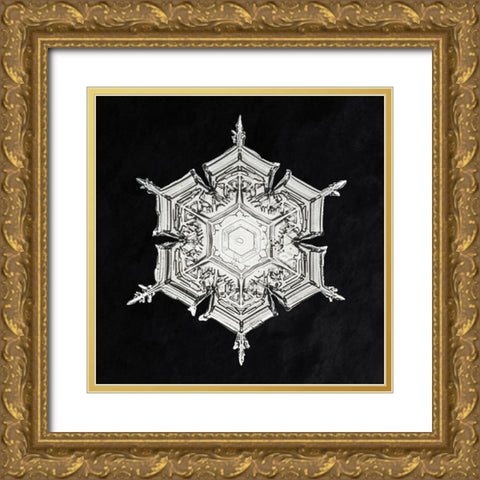 Snowflake 579A Gold Ornate Wood Framed Art Print with Double Matting by Bentley, Wilson