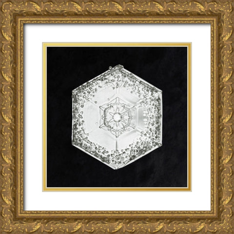 Snowflake 951 Gold Ornate Wood Framed Art Print with Double Matting by Bentley, Wilson