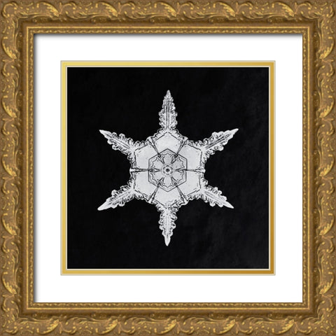 Snowflake 342 Gold Ornate Wood Framed Art Print with Double Matting by Bentley, Wilson