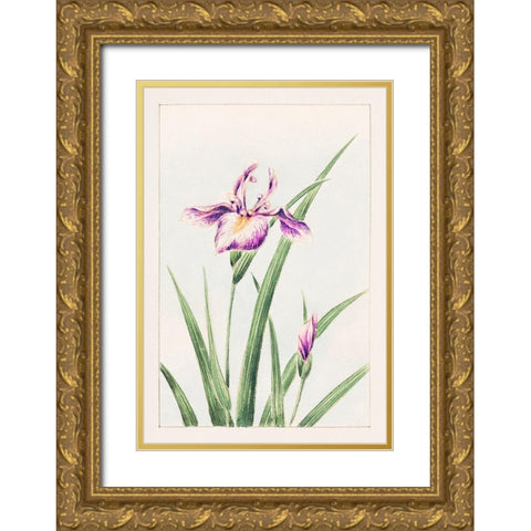 Hana strobel Gold Ornate Wood Framed Art Print with Double Matting by Morikaga, Megata