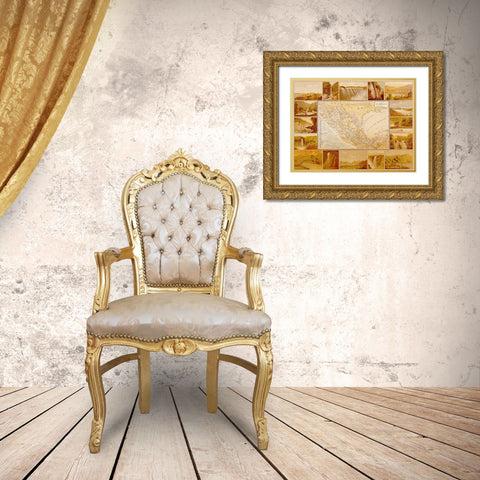 Waterfalls and Dams in Mexico Gold Ornate Wood Framed Art Print with Double Matting by Vintage Maps