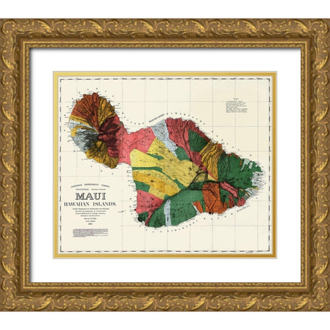 Maui Hawaiian islands Gold Ornate Wood Framed Art Print with Double Matting by Dodge, F S