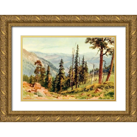 Redwoods of Great Twin Valleys-California 1914 Gold Ornate Wood Framed Art Print with Double Matting by Palmer, Sutton