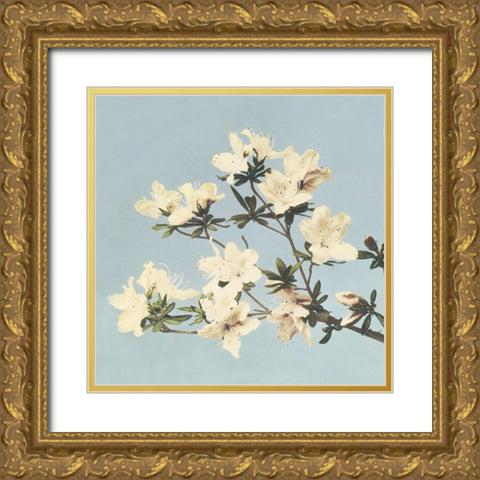 Vintage Japanese azaleas Gold Ornate Wood Framed Art Print with Double Matting by Kazumasa, Ogawa