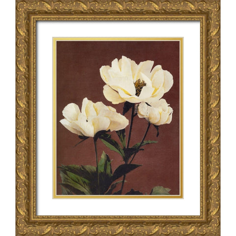 Haerdaceous Peony Gold Ornate Wood Framed Art Print with Double Matting by Kazumasa, Ogawa