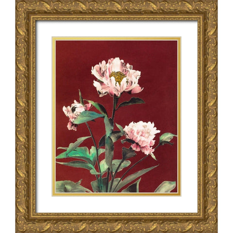 Haerdaceous Peony Gold Ornate Wood Framed Art Print with Double Matting by Kazumasa, Ogawa