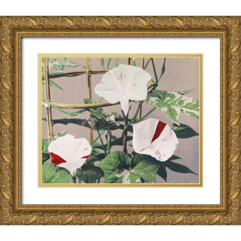 Striped Birdweed Flowers Gold Ornate Wood Framed Art Print with Double Matting by Kazumasa, Ogawa
