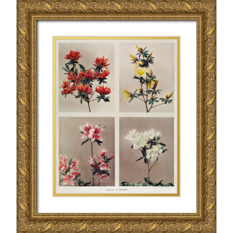 Group of Azaleas Gold Ornate Wood Framed Art Print with Double Matting by Kazumasa, Ogawa