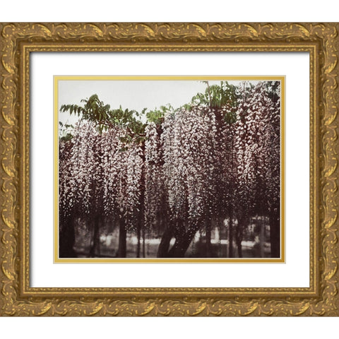 Wistaria Chinensis Gold Ornate Wood Framed Art Print with Double Matting by Kazumasa, Ogawa