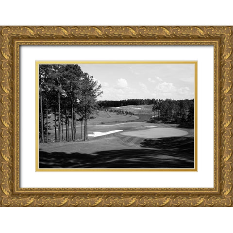 Robert Trent Jones Golf Trail-Ross Bridge-Alabama USA Gold Ornate Wood Framed Art Print with Double Matting by Highsmith, Carol