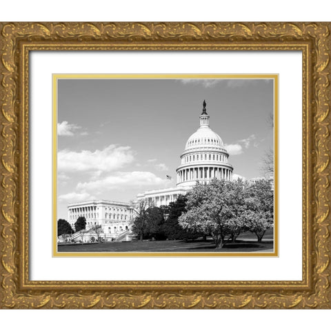 Capitol Hill Washington D.C. in cherry blossom season Gold Ornate Wood Framed Art Print with Double Matting by Highsmith, Carol