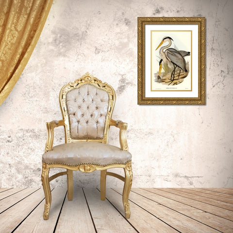 Great Grey Heron-Ardea leucophaea Gold Ornate Wood Framed Art Print with Double Matting by Gould, John