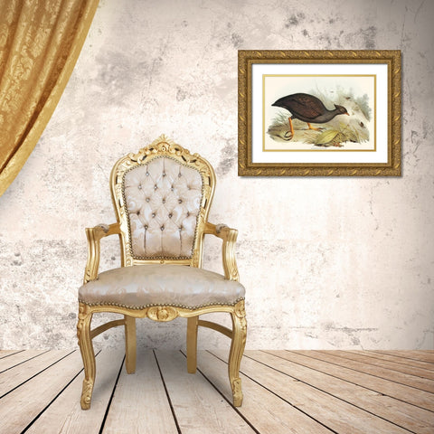 Mound-raising Megapode-Megapodius Tumulus Gold Ornate Wood Framed Art Print with Double Matting by Gould, John