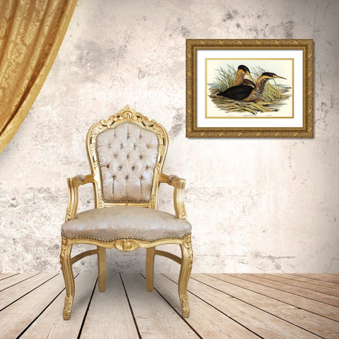 Yellow-necked Bittern-Ardetta flavicollis Gold Ornate Wood Framed Art Print with Double Matting by Gould, John