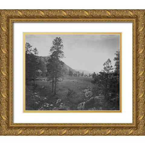 Cooleys Park-Sierra Blanca Range-Arizona Gold Ornate Wood Framed Art Print with Double Matting by OSullivan, Timothy H