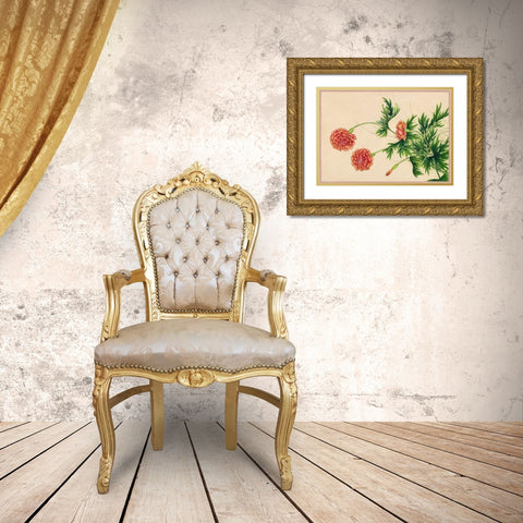Peony Gold Ornate Wood Framed Art Print with Double Matting by Ruoai, Zhang