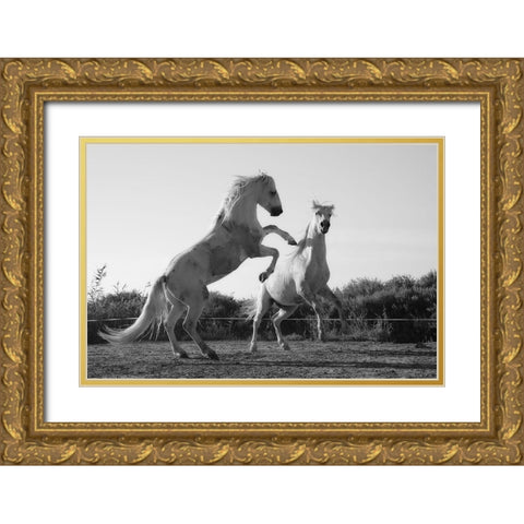 Horse Dance Gold Ornate Wood Framed Art Print with Double Matting by The Yellowstone Collection