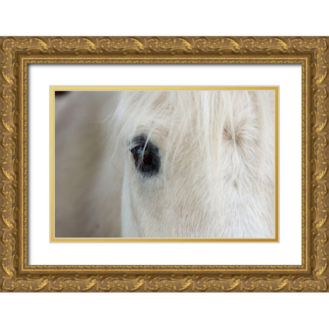 Horse Eye Gold Ornate Wood Framed Art Print with Double Matting by The Yellowstone Collection