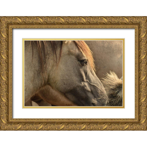 Horse Grain Gold Ornate Wood Framed Art Print with Double Matting by The Yellowstone Collection