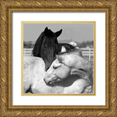 The Long Kiss Gold Ornate Wood Framed Art Print with Double Matting by The Yellowstone Collection