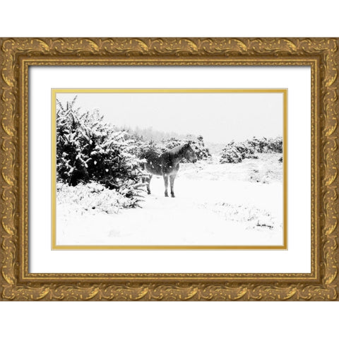 Winter Chestnut Gold Ornate Wood Framed Art Print with Double Matting by The Yellowstone Collection