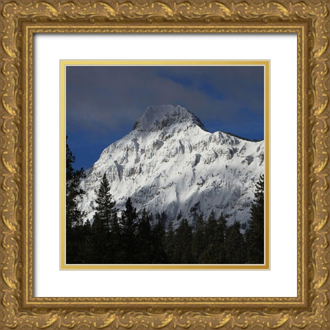 Barronette Peak, Yellowstone National Park Gold Ornate Wood Framed Art Print with Double Matting by Peaco, Jim