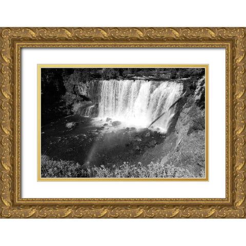 Iris Falls on the Bechler River, Yellowstone National Park Gold Ornate Wood Framed Art Print with Double Matting by Renkin, Diane