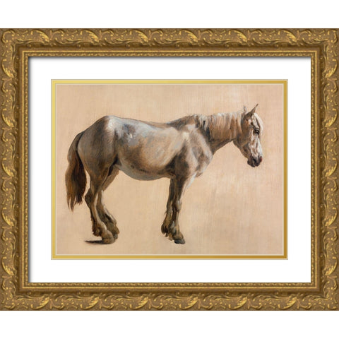 Study of a Grey Horse 1800 Gold Ornate Wood Framed Art Print with Double Matting by Agasse, Jacques-Laurent