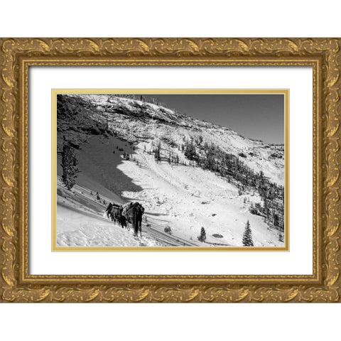 Cougar Basin Payette Gold Ornate Wood Framed Art Print with Double Matting by Lutz, Jesse