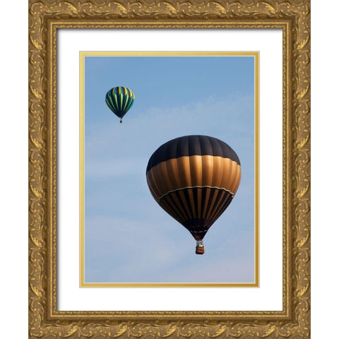 Decatur-Alabama Annual Hot Air Balloon Jubilee Festival Gold Ornate Wood Framed Art Print with Double Matting by Highsmith, Carol