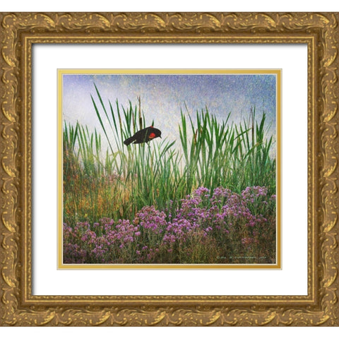 Redwing in Cattail Gold Ornate Wood Framed Art Print with Double Matting by Vest, Christopher