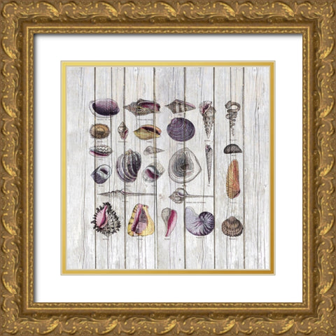 Vintage Shells Gold Ornate Wood Framed Art Print with Double Matting by Haase, Andrea