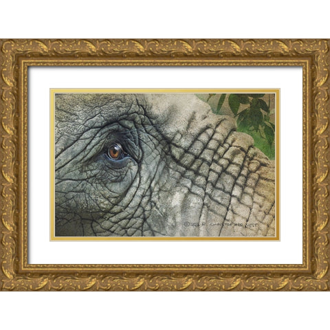 Elephant Eye Gold Ornate Wood Framed Art Print with Double Matting by Vest, Christopher