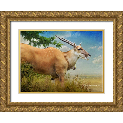 Stepping out female common eland Gold Ornate Wood Framed Art Print with Double Matting by Vest, Christopher