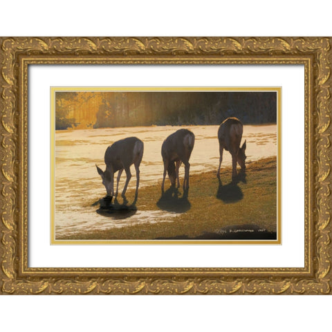 Deer Grazing at City Park Gold Ornate Wood Framed Art Print with Double Matting by Vest, Christopher