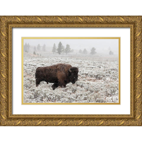 Late Fall Yellowstone Gold Ornate Wood Framed Art Print with Double Matting by Forns, Alfred