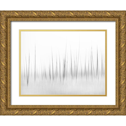 Wintry scenery in Yellowstone Gold Ornate Wood Framed Art Print with Double Matting by Lai, Charles