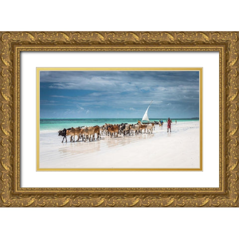 Masai cattle on Zanzibar beach Gold Ornate Wood Framed Art Print with Double Matting by C. Sink, Jeffrey