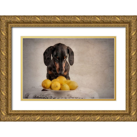 When Life Gives You Lemons... Gold Ornate Wood Framed Art Print with Double Matting by Willers, Heike