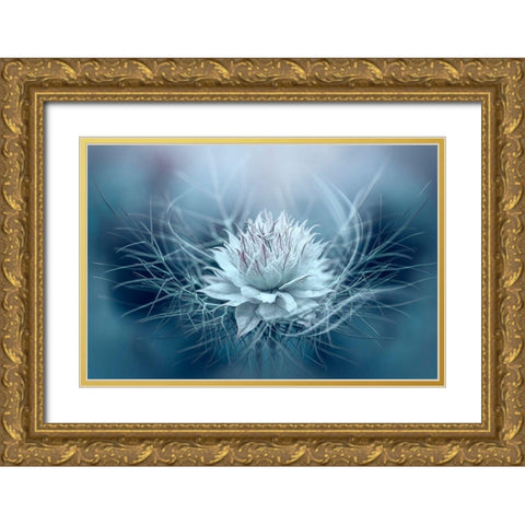 Love-in-a-mist Gold Ornate Wood Framed Art Print with Double Matting by Parker, Jacky
