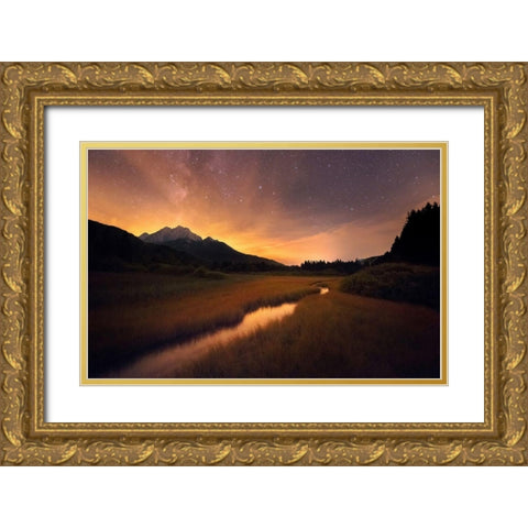 Zelenci springs Gold Ornate Wood Framed Art Print with Double Matting by Krivec, Ales