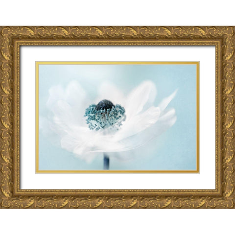 Candy floss Gold Ornate Wood Framed Art Print with Double Matting by Parker, Jacky