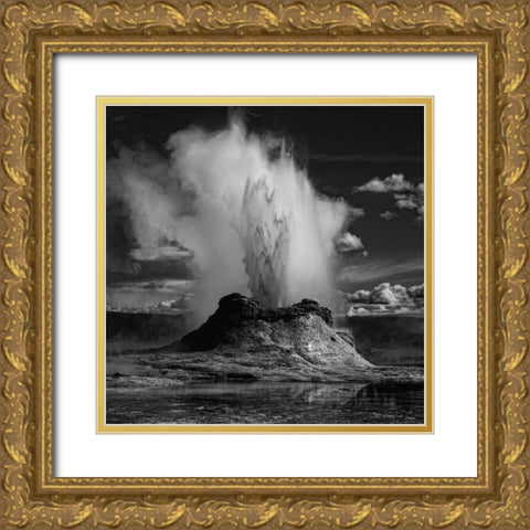 Castle Geyser Gold Ornate Wood Framed Art Print with Double Matting by Depaepe, Yvette