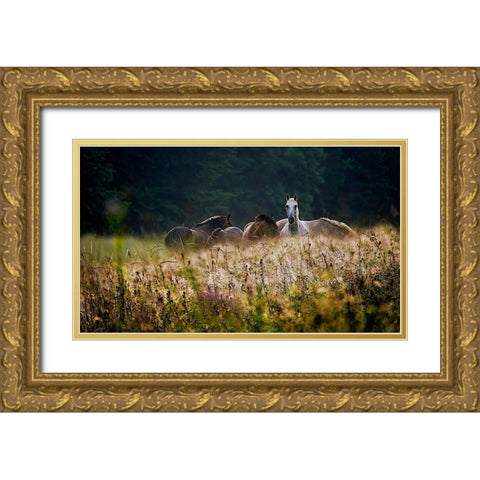 our garden Gold Ornate Wood Framed Art Print with Double Matting by Malovrh, Milan