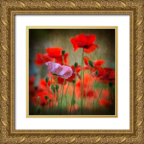 One Gold Ornate Wood Framed Art Print with Double Matting by Worner, Anne