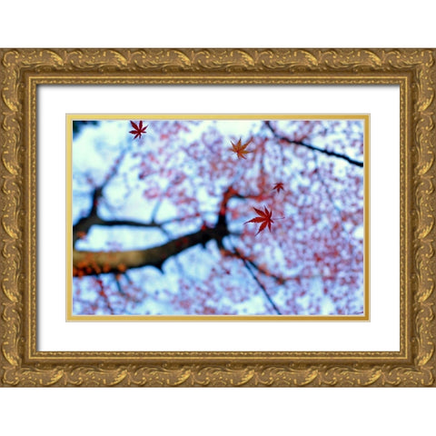 heirinji Gold Ornate Wood Framed Art Print with Double Matting by Tomihisa, Kouji