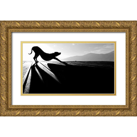 sun salutation Gold Ornate Wood Framed Art Print with Double Matting by Frick, Christine